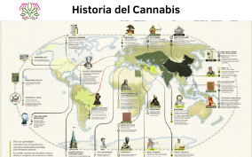 Historia del Cannabis - Tienda CBD Mexico
